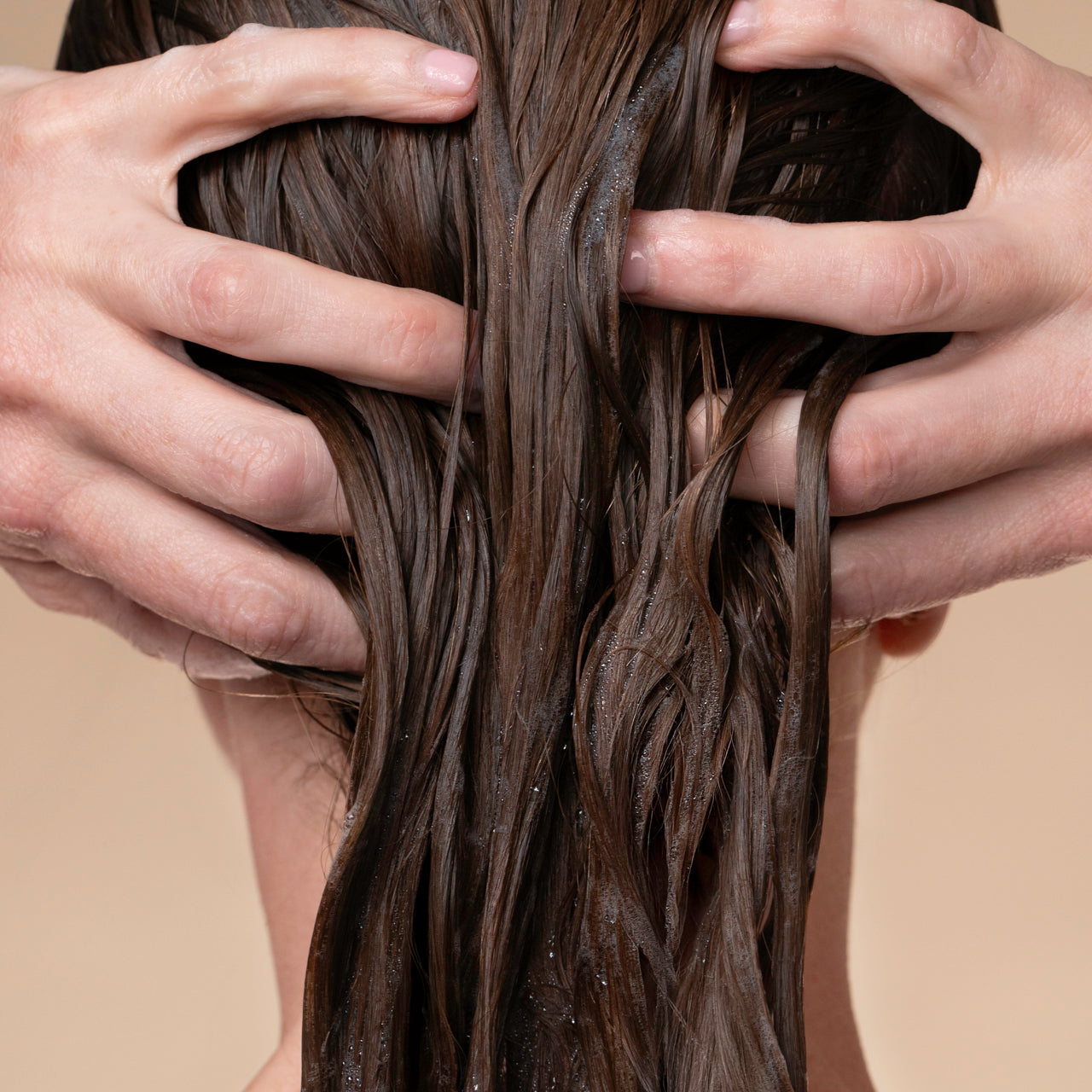 505886-505909-505923-505947-507873-505961-LiquidShampoo-Model-2-1280x1280px